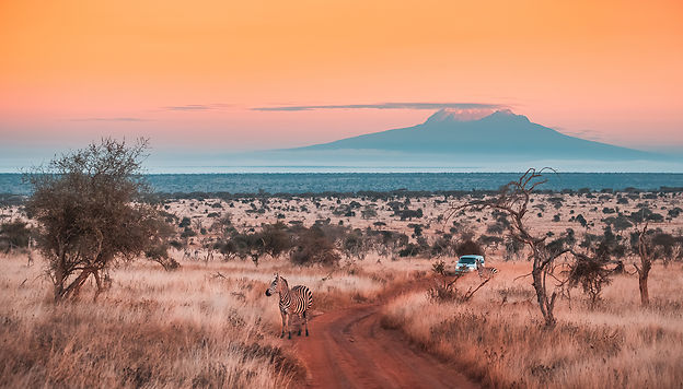 Kenya, nos coups de c&oelig;ur