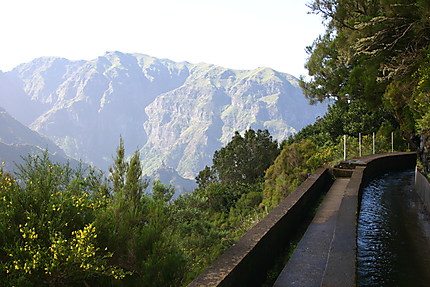 Madère - Levada