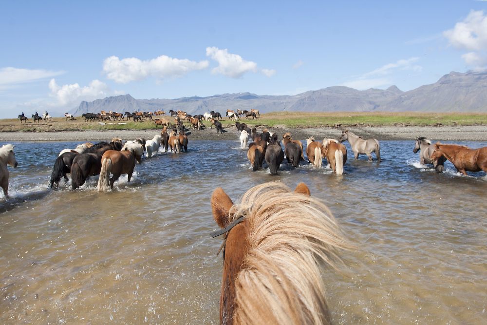 Randonnée en Islande