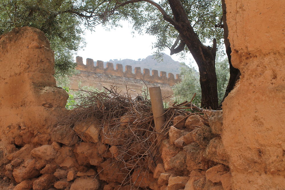 Kasbah mérinide à Debdou