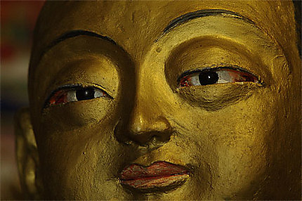Sérénité de Gautama Siddharta