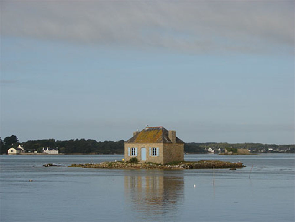 Saint-Cado Ilot de Nichtarguer