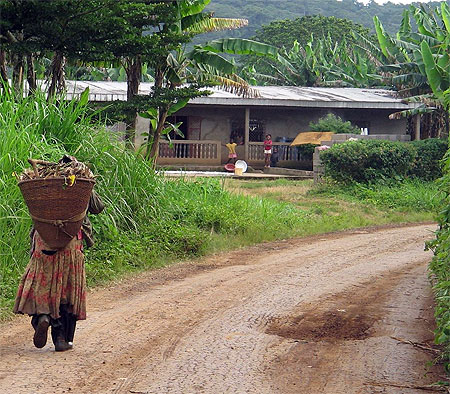 Retour à la maison les bras bien remplis... Retour à la maison les bras bien remplis...