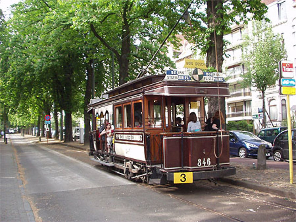 Tram &quot;Chocolat&quot;