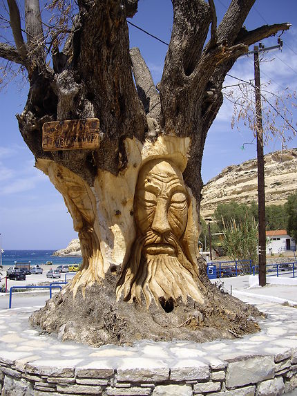Magnifique sculpture sur arbre 