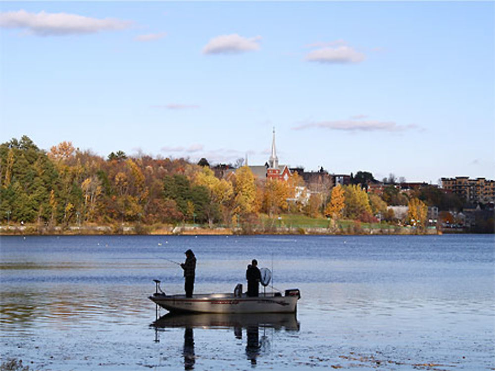 Pêche à la ville