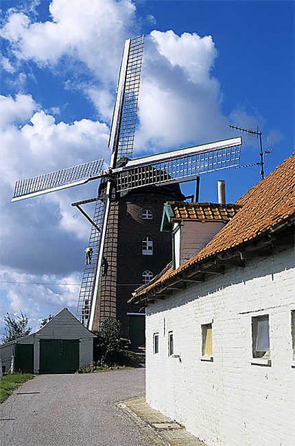 Moulin à vent, Terdeghem