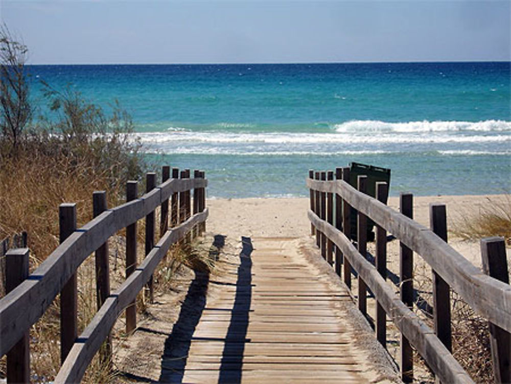 Direction la plage de Baia Verde