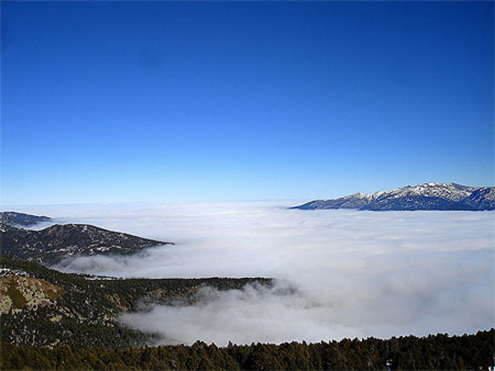 Mer de brouillard