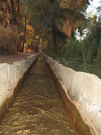 Canal irriguant Baharreya Oasis