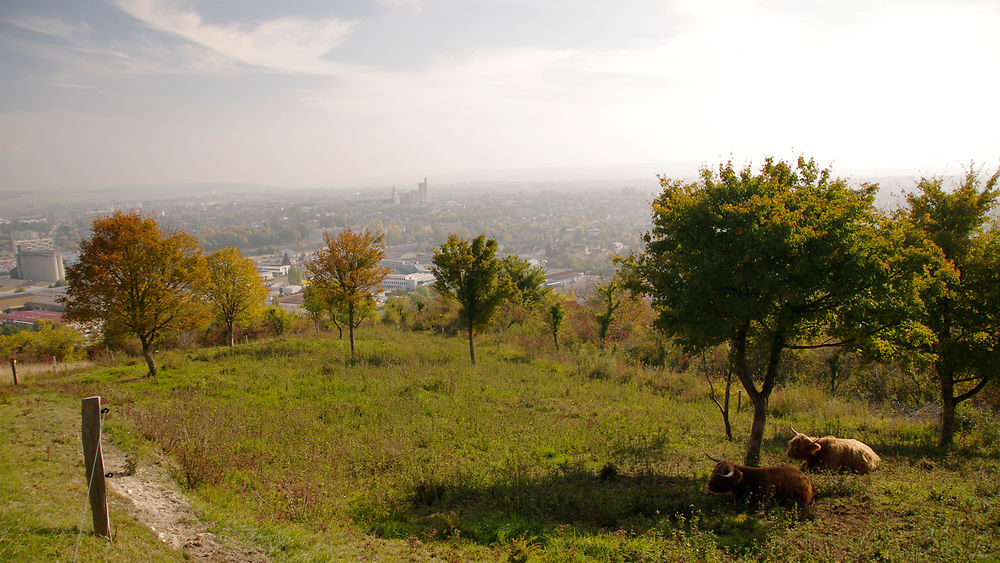 Vue de Sens depuis la Zone Natura 2000 St-Martin