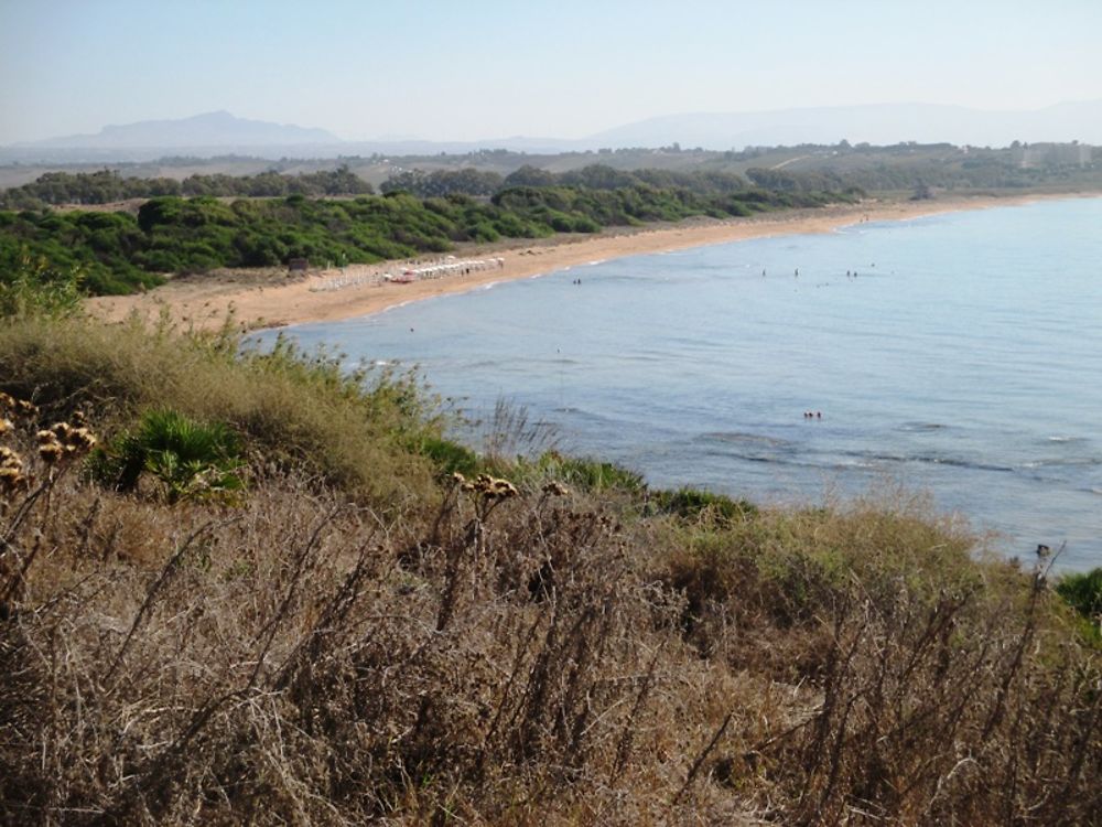 Plage vue de la réserve naturelle de Sélinonte