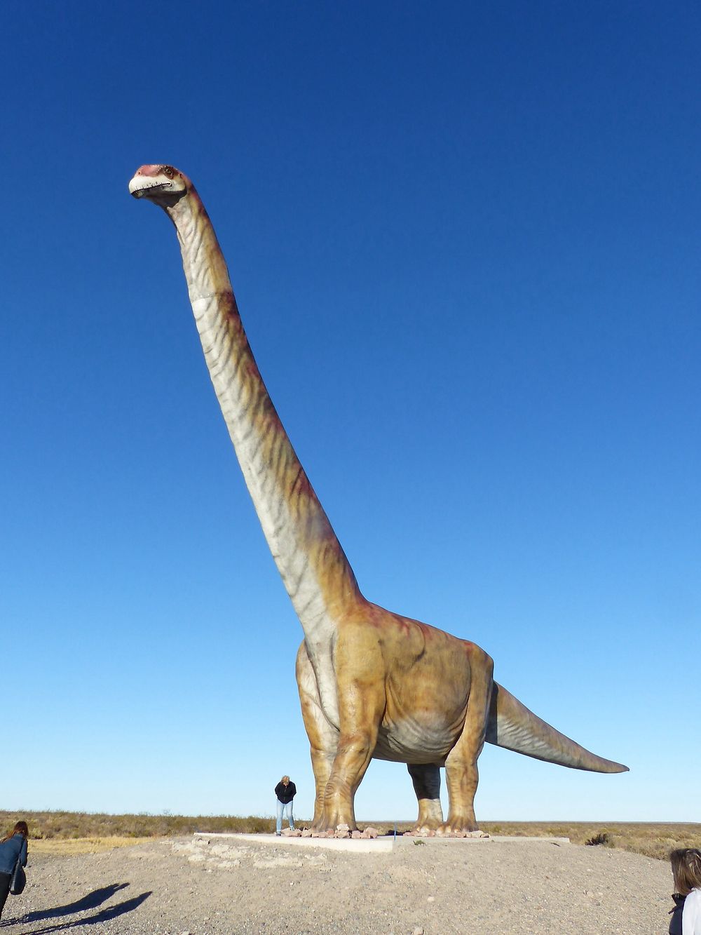 Le dinosaure de Trelew