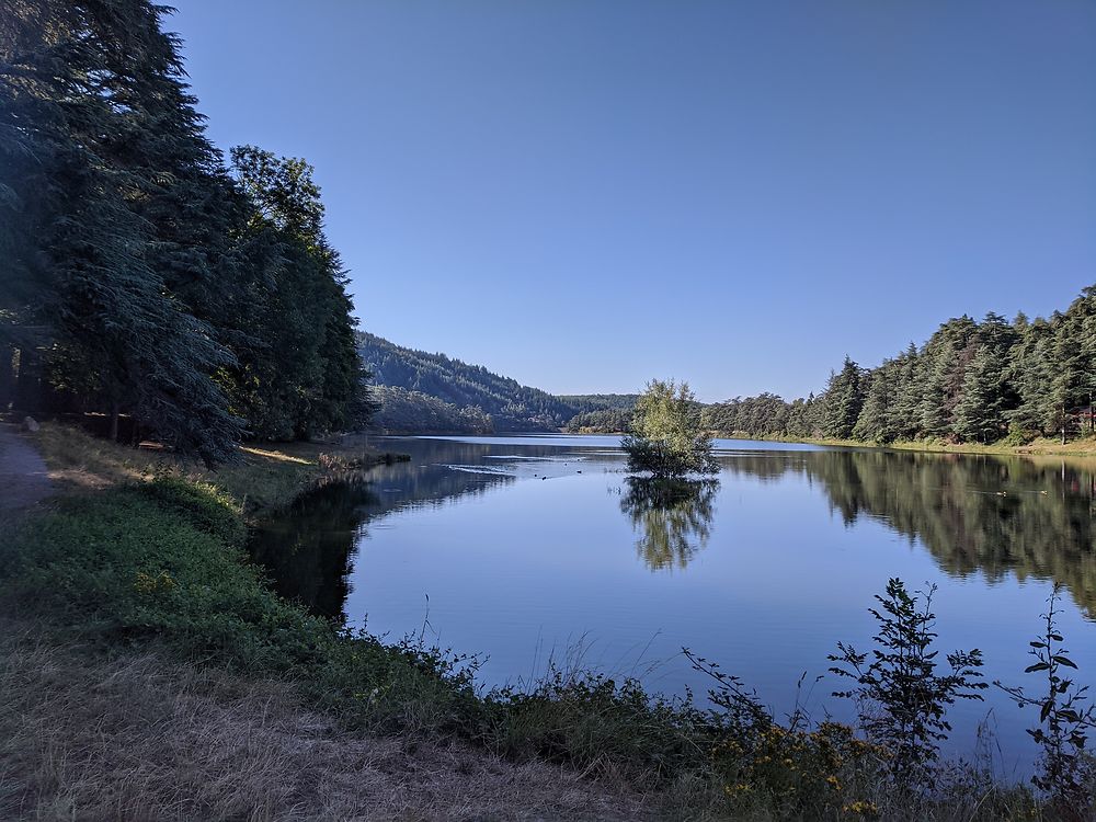 Bord du lac du Ternay 