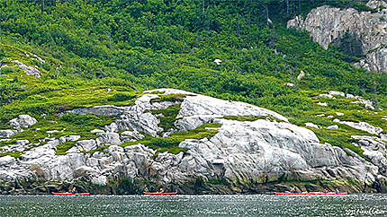Kayakiste sur le Fjord du Saguenay