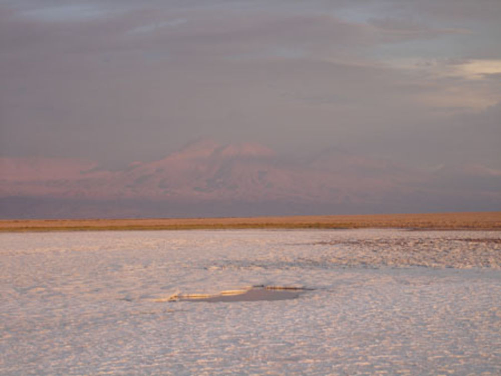 Lac salé