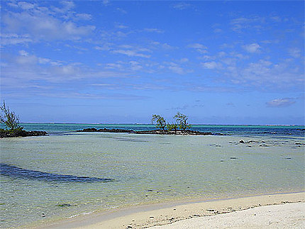 Ile aux cerfs