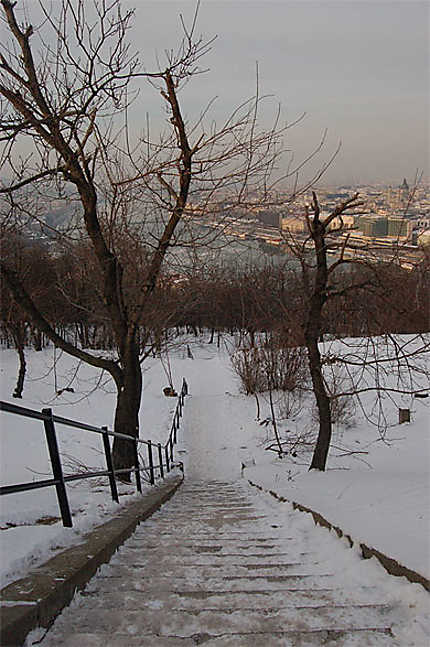 Escalier enneigé