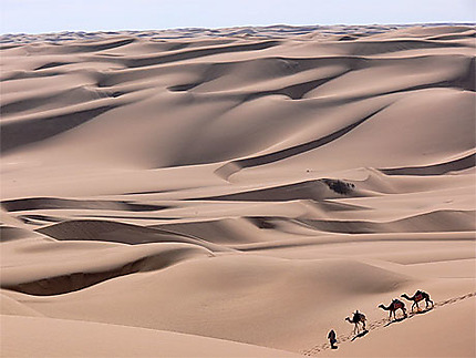 La traversée du désert