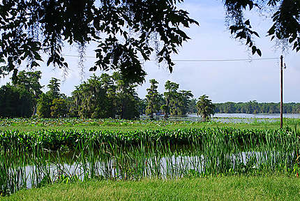 Lac Martin