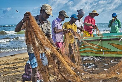Pêcheur à Négombo