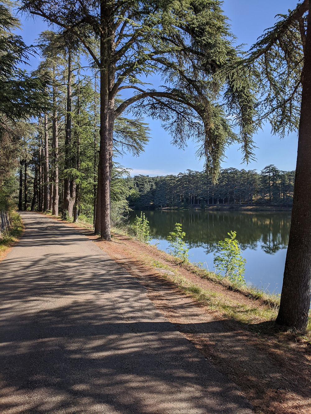 Sentier du tour du lac du Ternay 