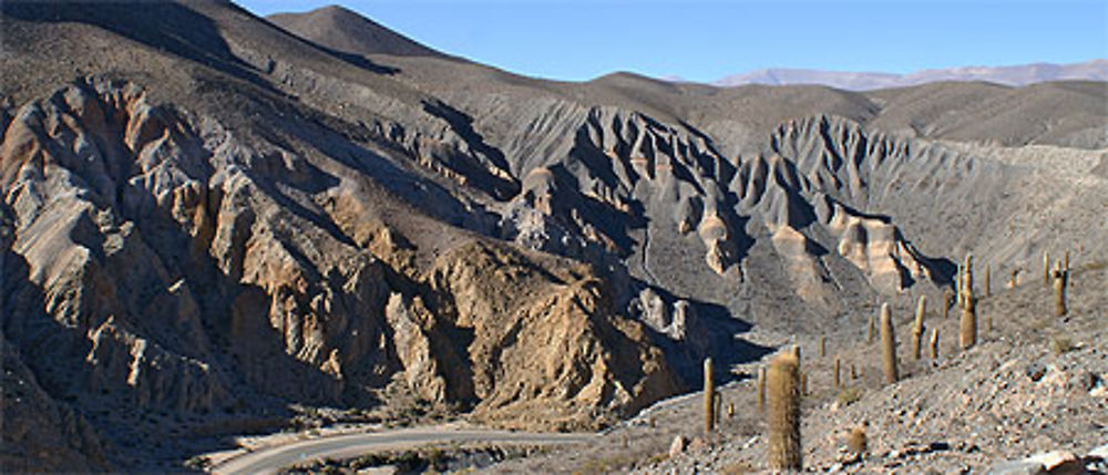 En rentrant de San Antonio de los Cobres ...