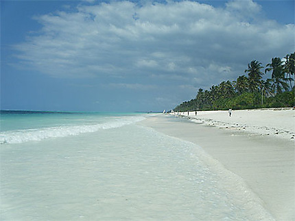 Plage de Zanzibar pwani beach resort