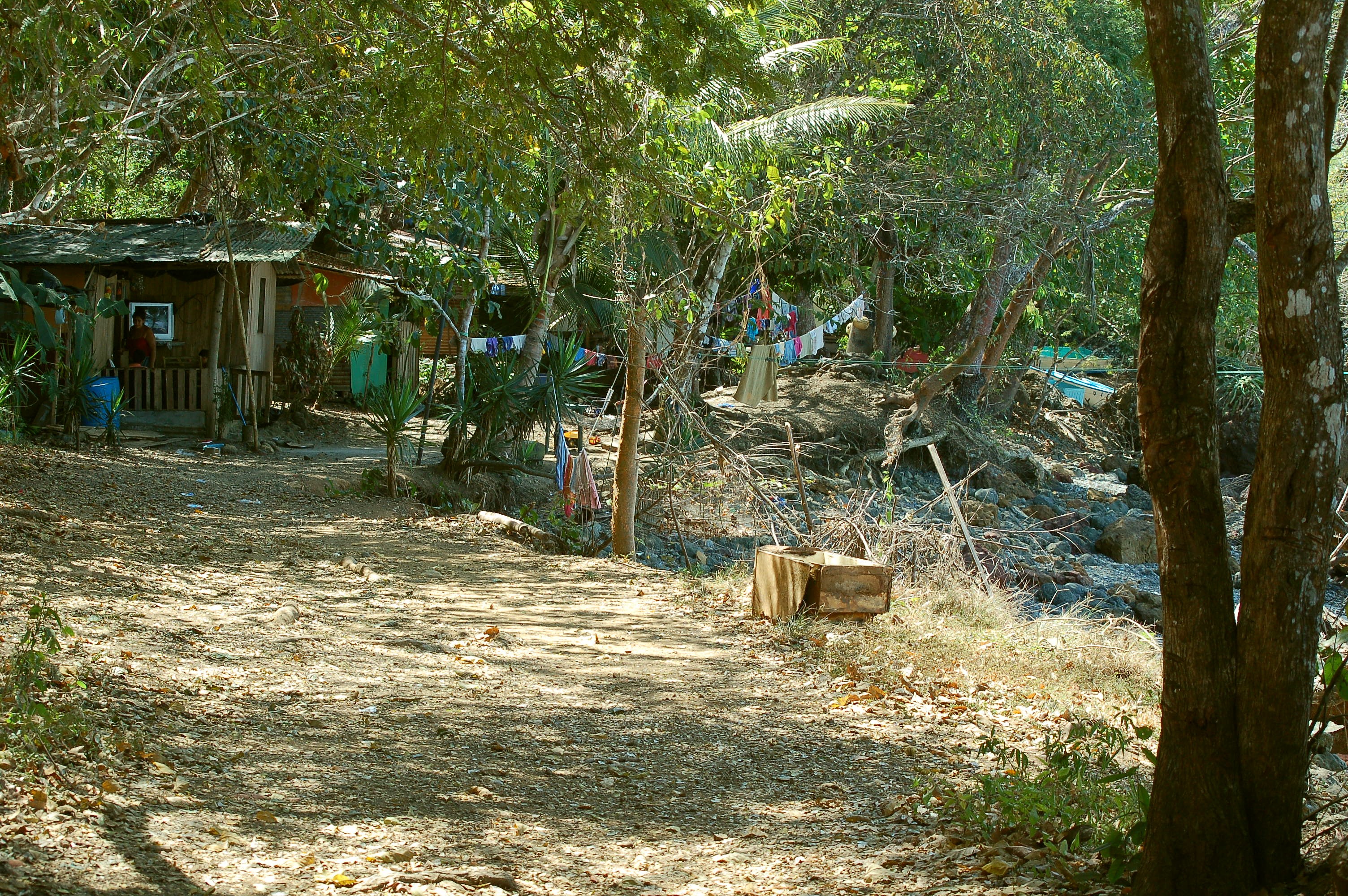 Chemin vers la jungle Chemin vers la jungle