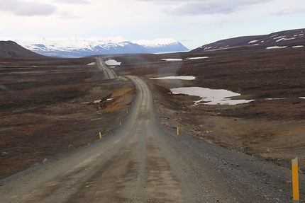 Route d'Islande à Hvítserkur