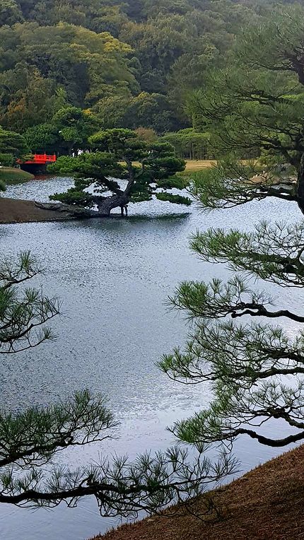 Jardin de Takamatsu
