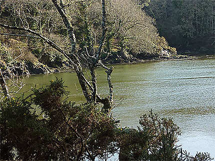 Merrien Finistère Sud