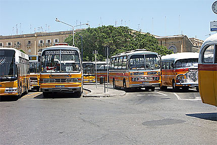 Les bus typiques de Malte