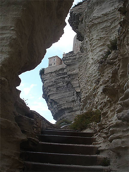 Les falaises de Bonifacio