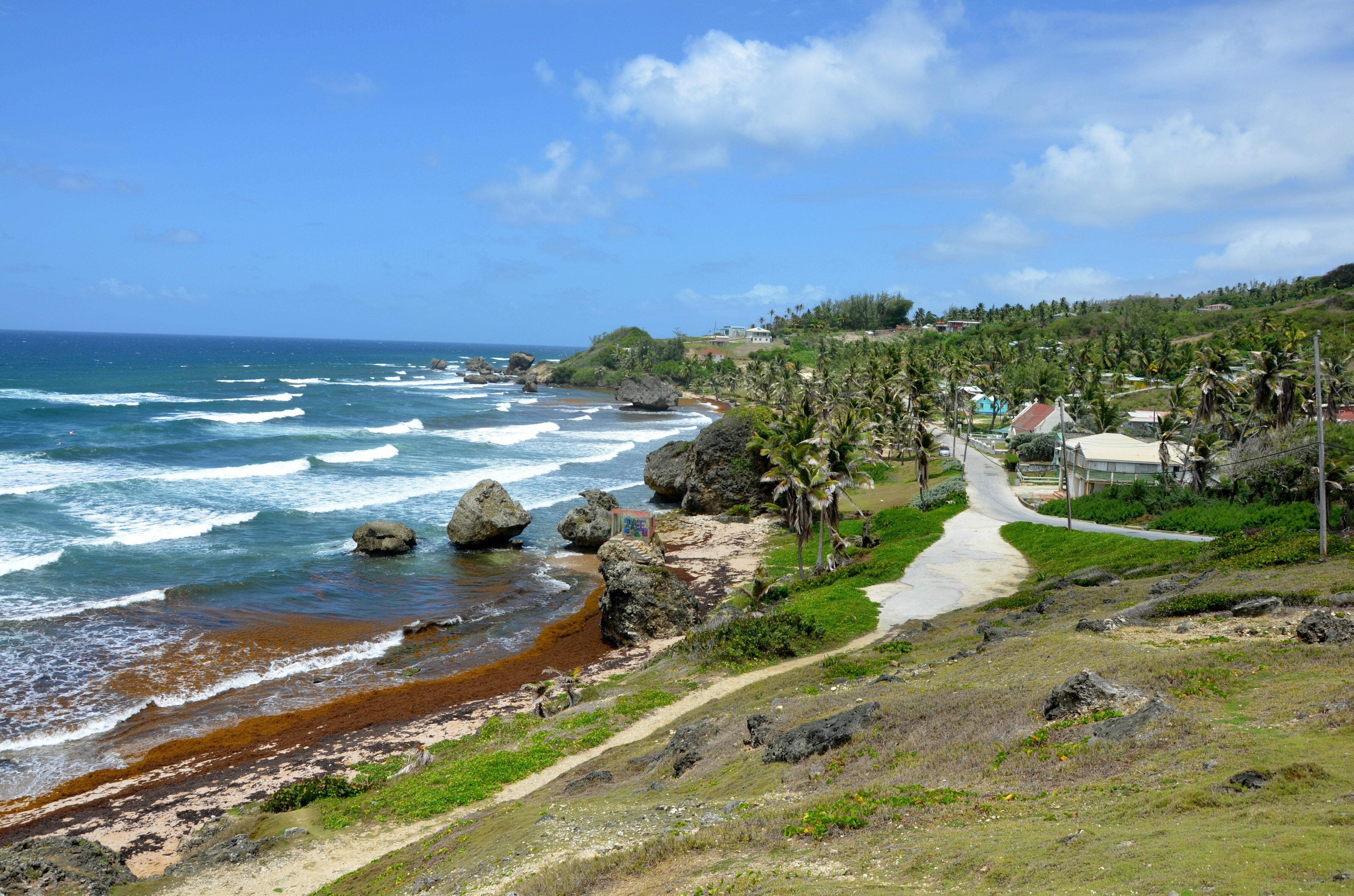 Bathsheba beach Bathsheba beach