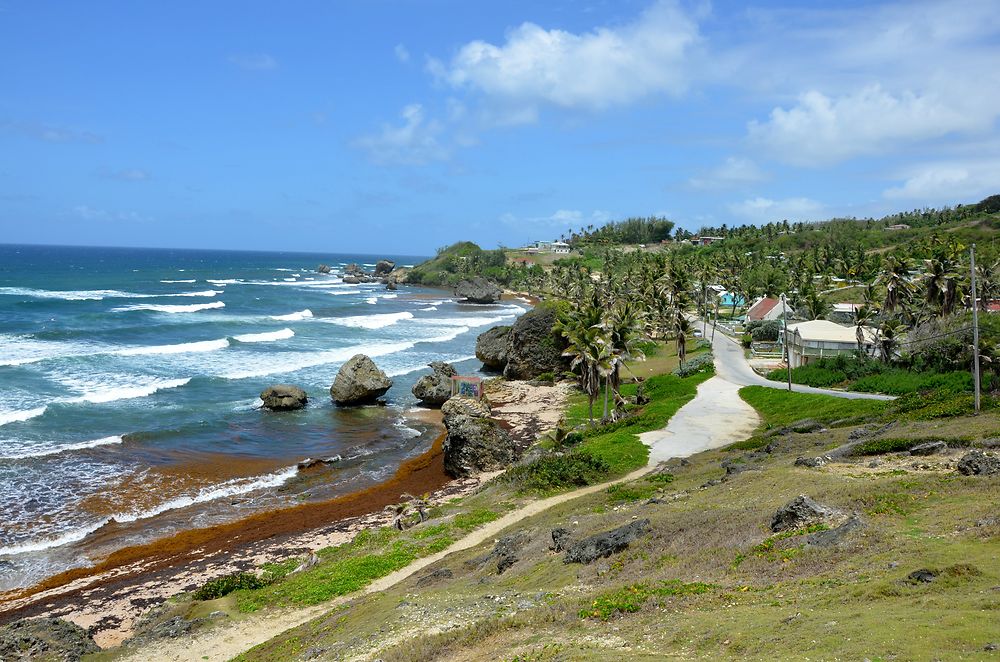 Bathsheba beach