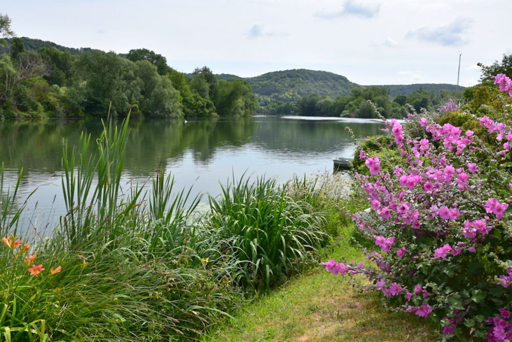 Bord de Seine à Poses (27740)