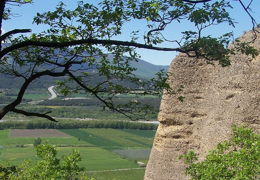 Pierre et verdure