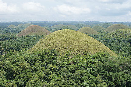 Chocolate Hills en Juillet