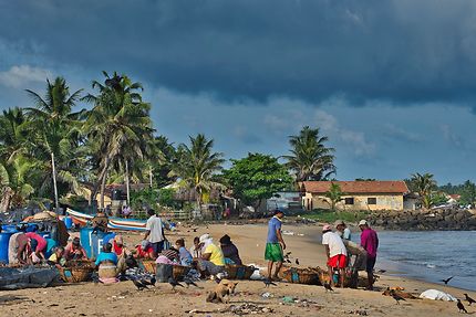 Agitation sur la plage de Negombo