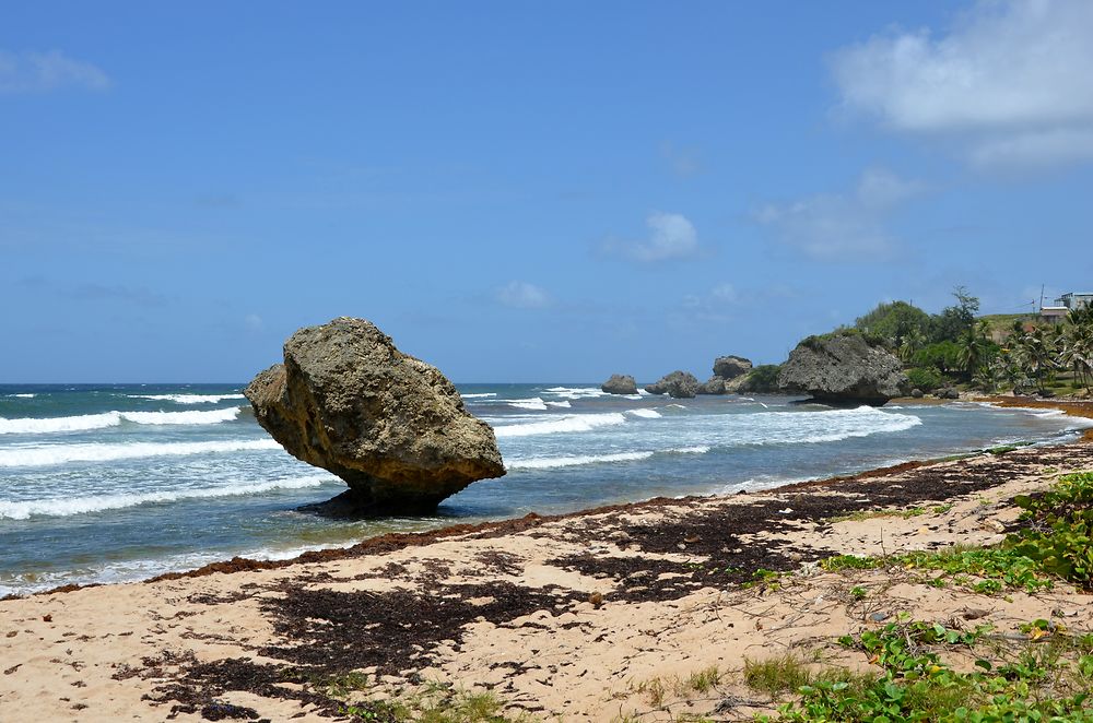 Bathsheba beach