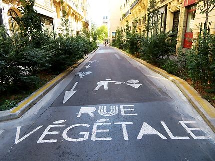Paris insolite et sa rue végétalisée
