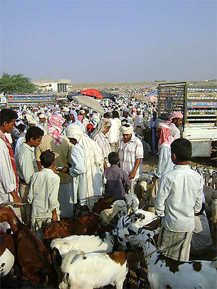 Animaux au marché de Beit al-Faqih