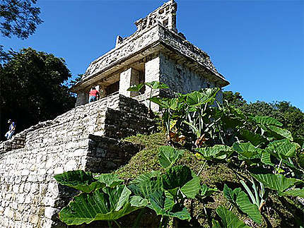 Temple à Palenque