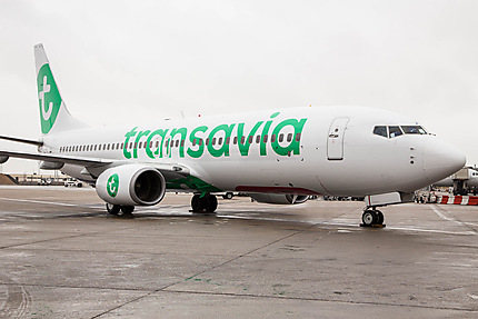 Promo - Transavia: 100,000 tickets at -50%