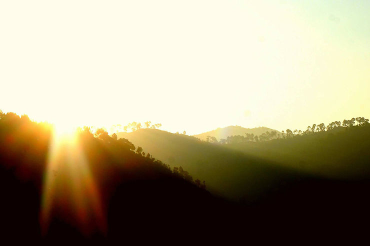 Le soleil se lève sur la jungle népalaise près de la rivière de Makhali