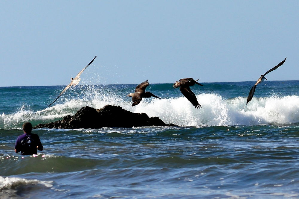 Jamais seul le pêcheur