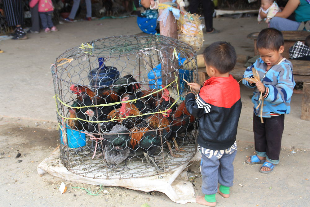 Marché de Phonsavan, Laos