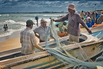 Retour de pêche à Negombo
