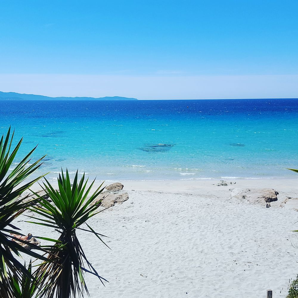 Plage à Porto Vecchio